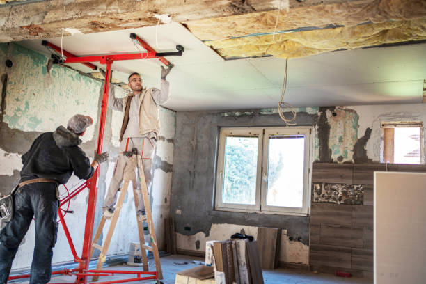 Best Insulation Maintenance and Repair in Columbus, NM