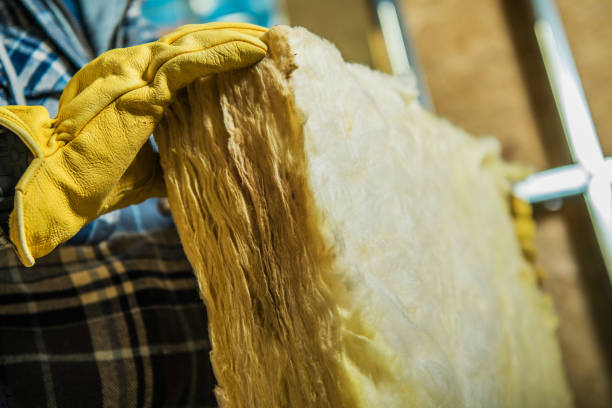 Best Insulation Installation Services in Columbus, NM